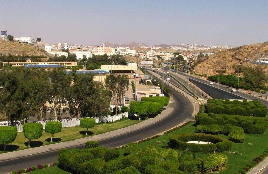 الاحياء التي نغطيها في دينا نقل عفش بالطائف
